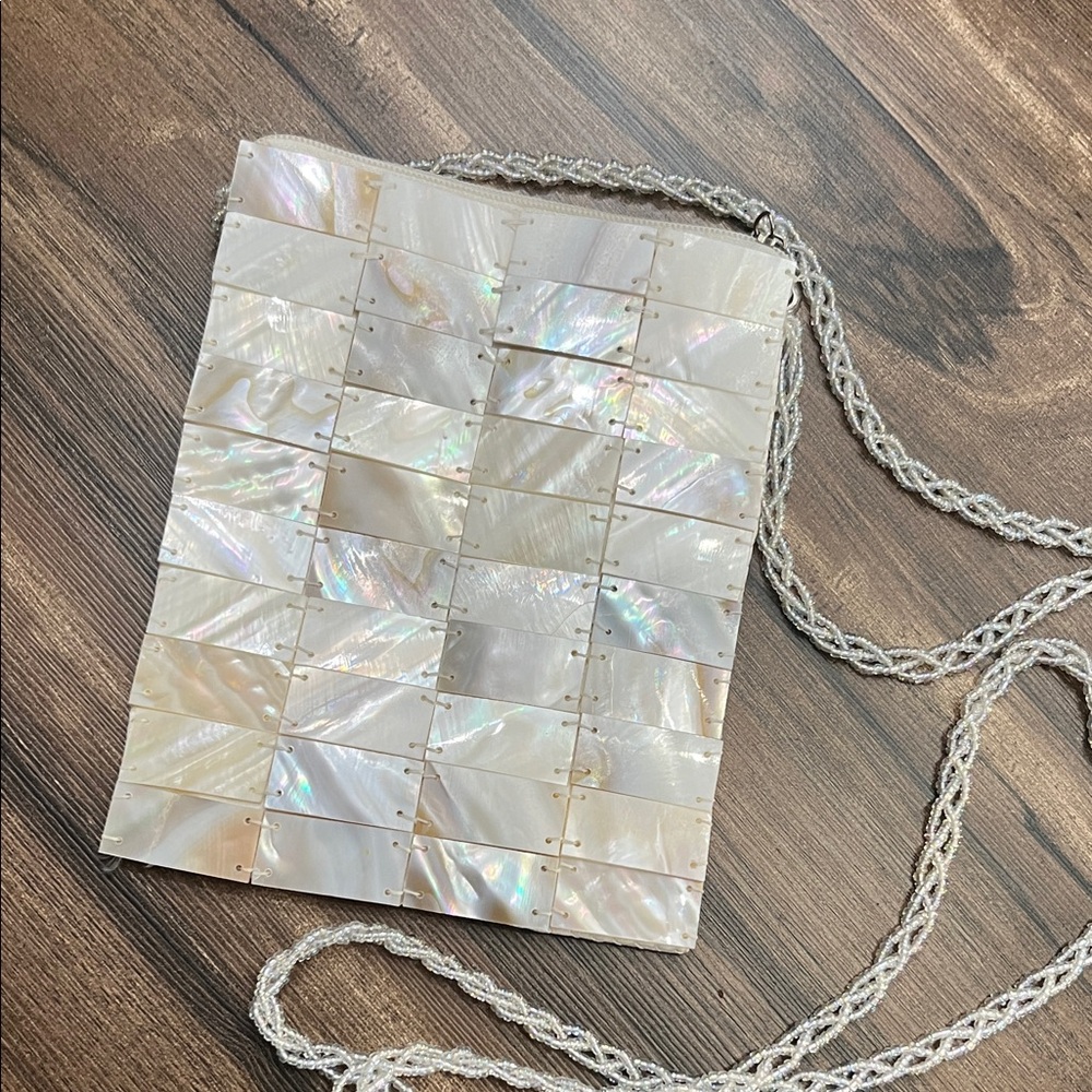 Lustrous Shell Mosaic Clutch